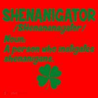 Shenanigator Definition Person Instigates Shenanigans  Santa Hat thumb 1