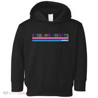 Sterling Heights Michigan Retro Toddler Hoodie thumb 0