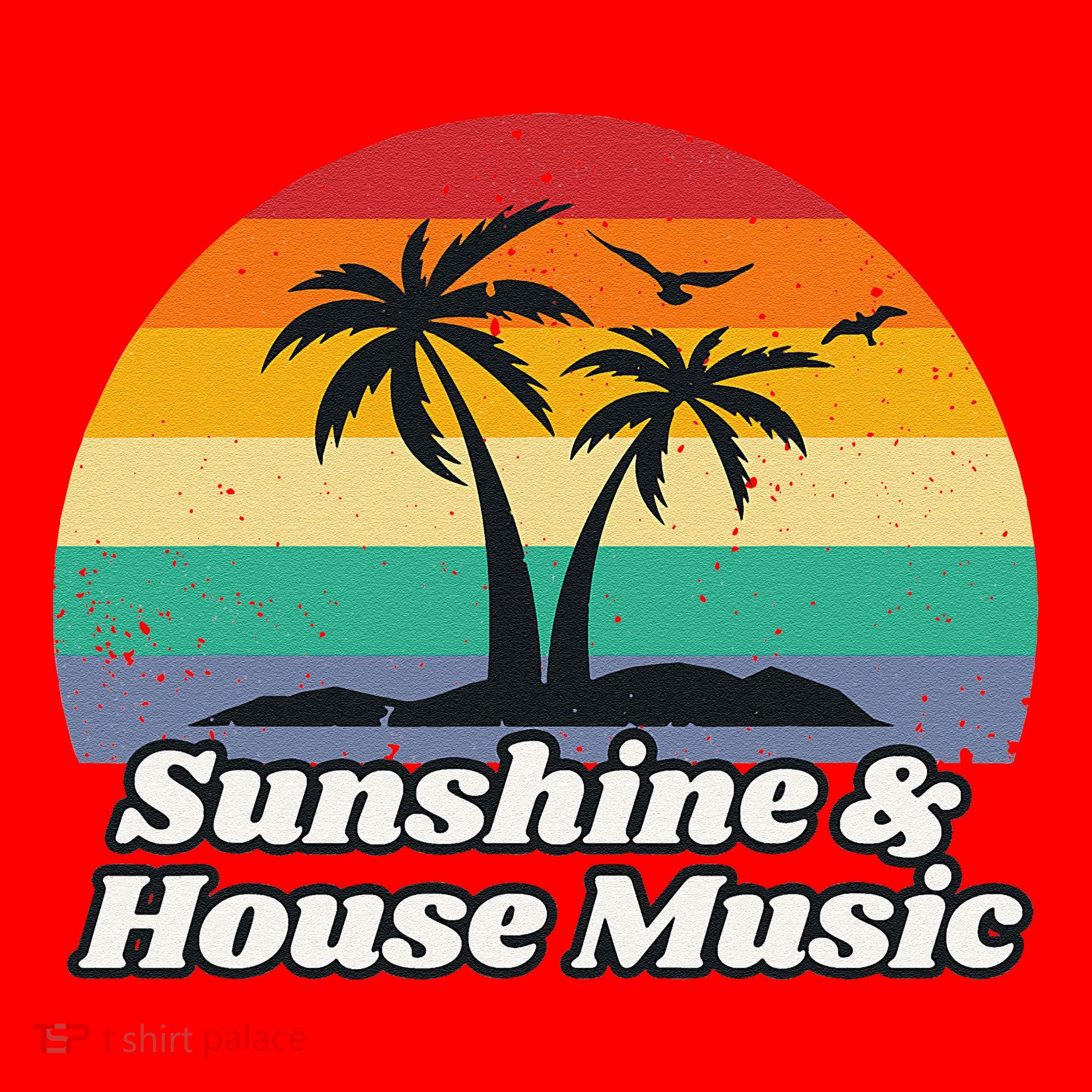 Sunshine & House Music For Raver Edm Santa Hat