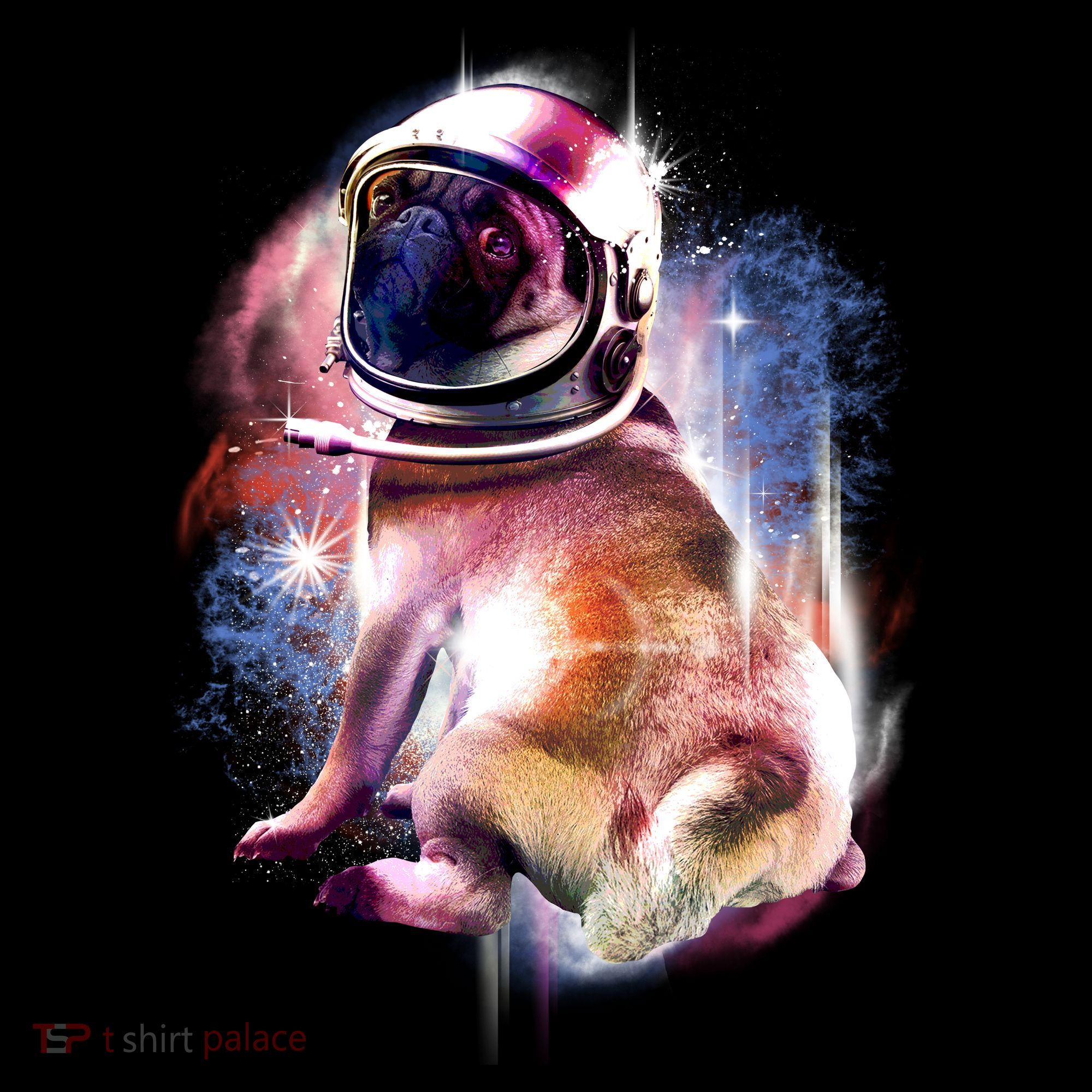 Space Hunger Pug Bucket Hat