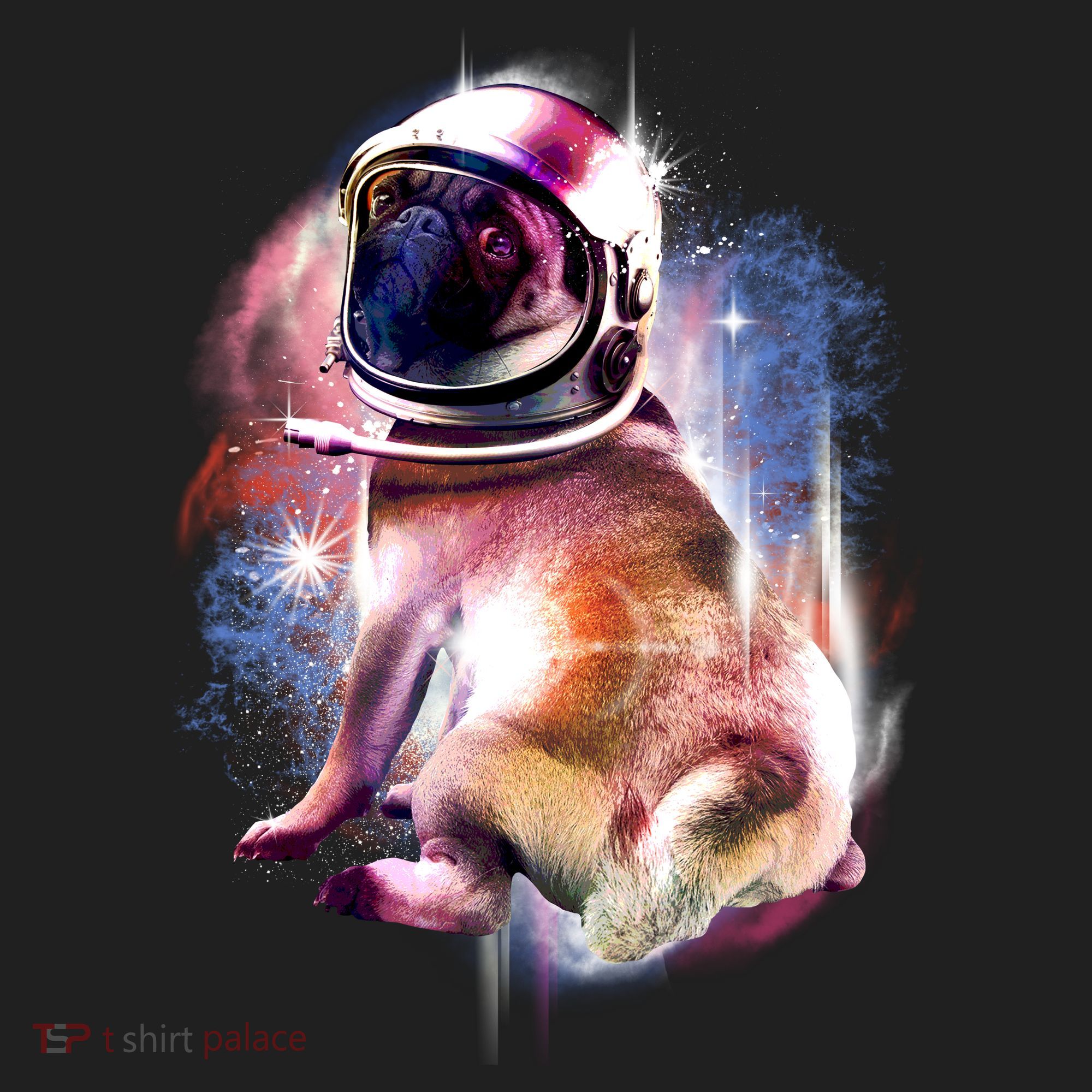 Space Hunger Pug Beanie