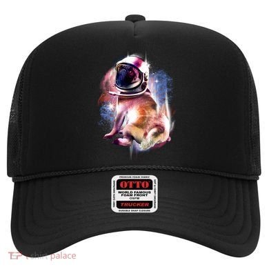 Space Hunger Pug Hat