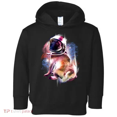 Space Hunger Pug Toddler Hoodie