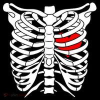 Skeleton Heart Ribcage Halloween Love Costume Idea Coffee Mug thumb 5
