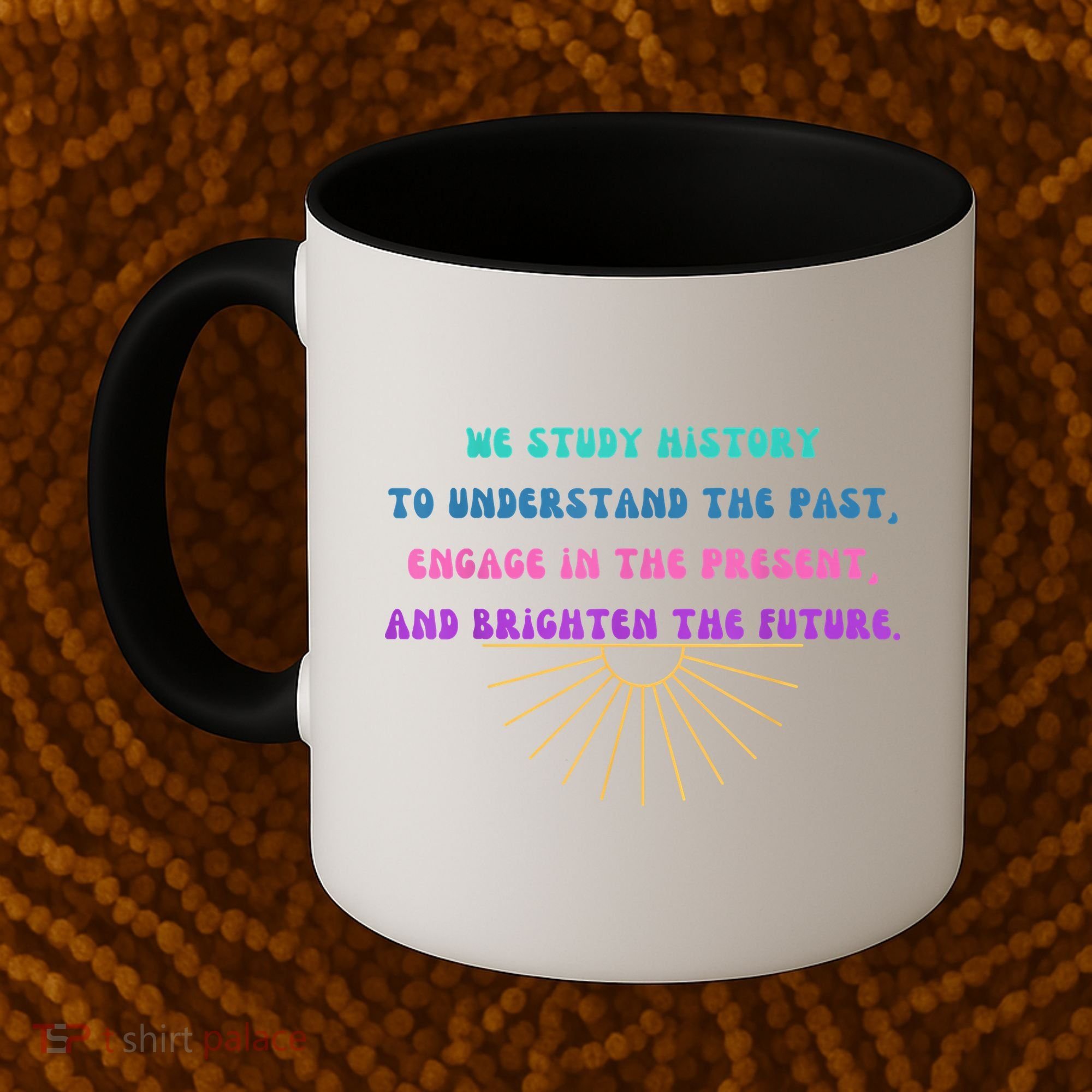 Study History Teach History Coffee Mug