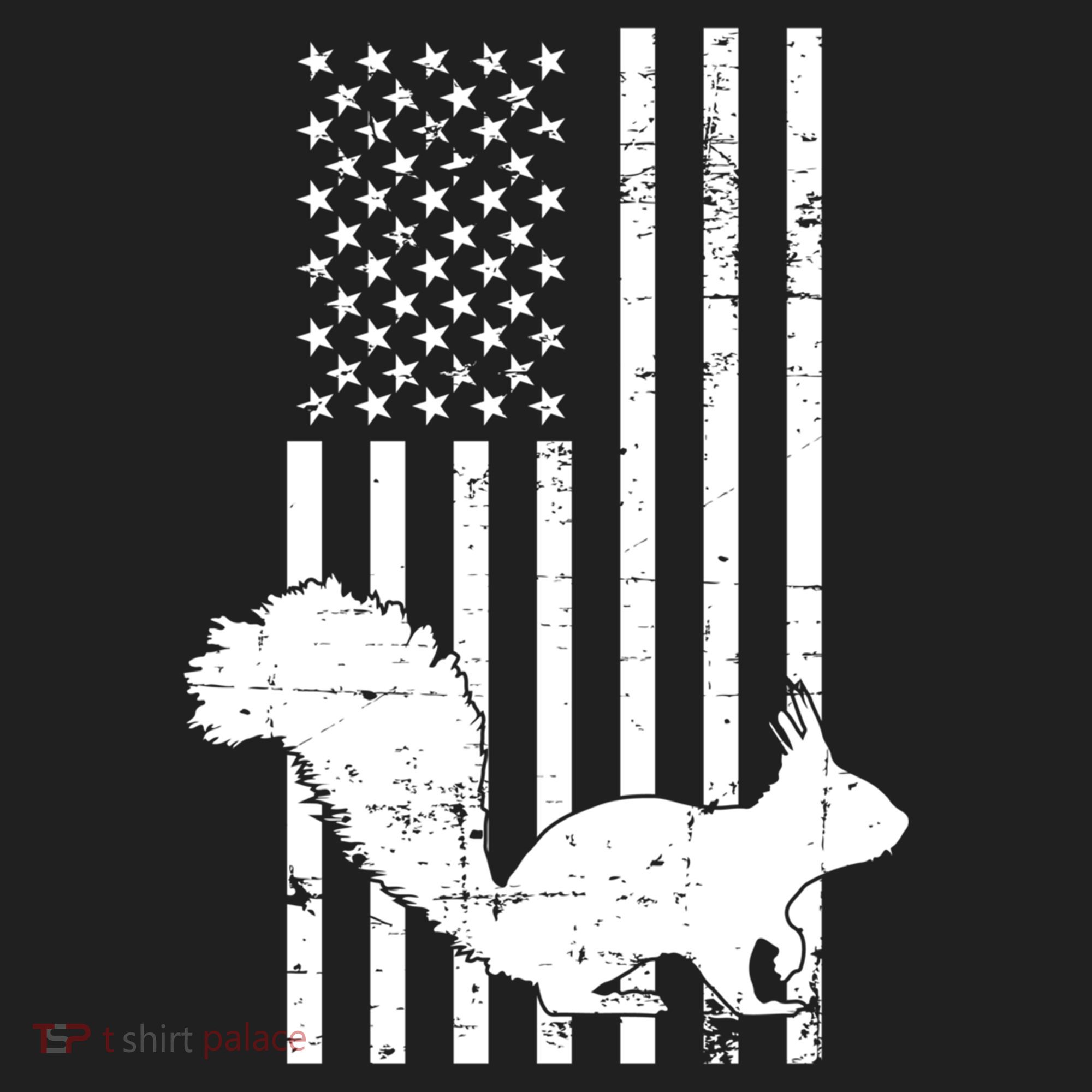 Squirrel Hunting Us Flag Squirrel Hunter Great Gift Women's Sweatshirt