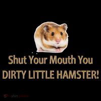 Shut Your Mouth You Dirty Little Hamster Women's Hoodie thumb 2