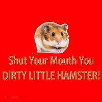 Shut Your Mouth You Dirty Little Hamster Santa Hat thumb 1