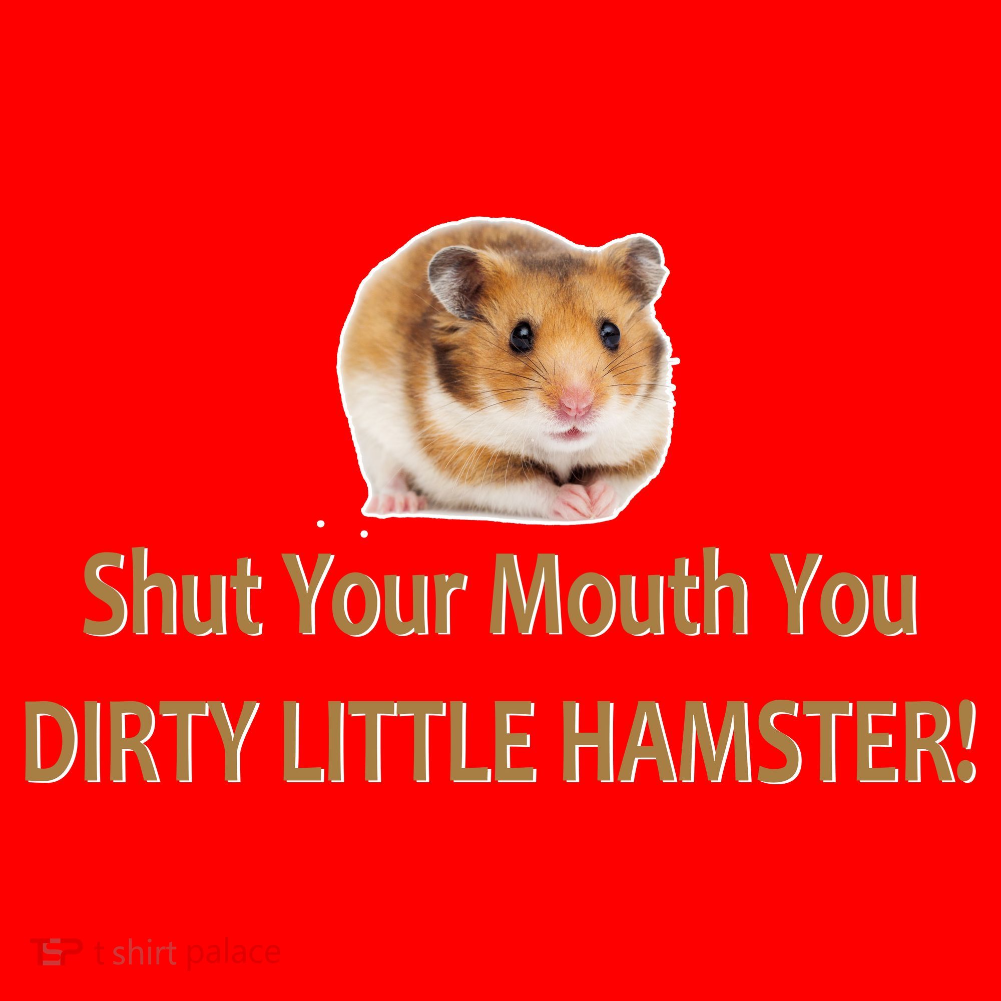 Shut Your Mouth You Dirty Little Hamster Santa Hat