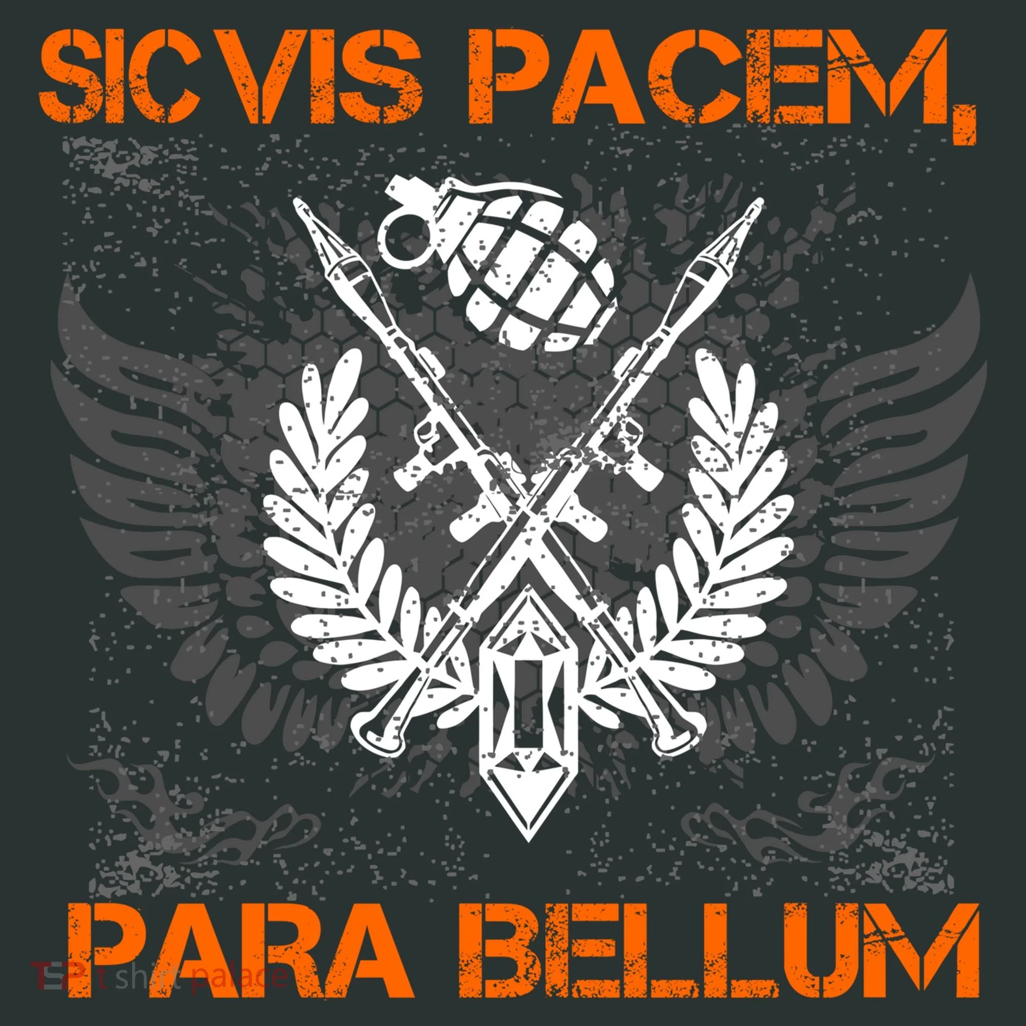 Si Vis Pacem Para Bellum Peace War Hoodie