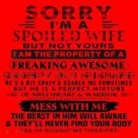 Sorry I'm A Spoiled Wife But Not Yours I Am The Property Santa Hat thumb 1