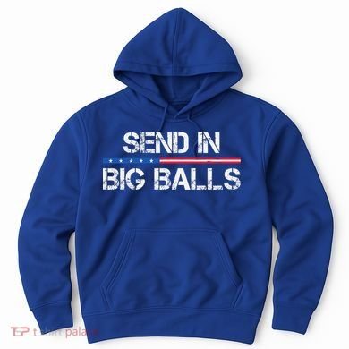 Send In Big Balls Doge D.O.G.E Hoodie