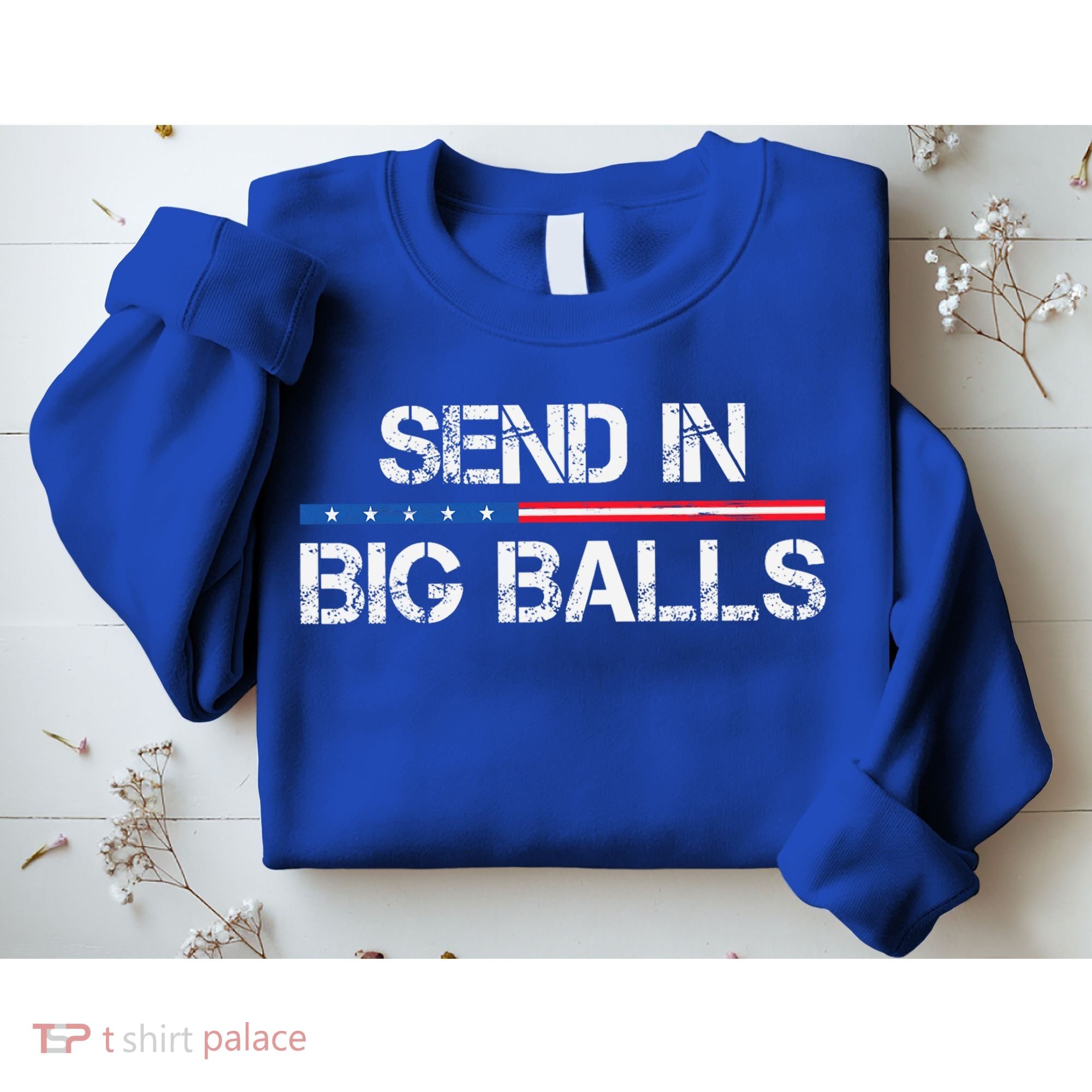 Send In Big Balls Doge D.O.G.E Sweatshirt
