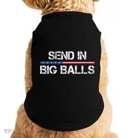 Send In Big Balls Doge D.O.G.E Gift Doggie Tank thumb 0