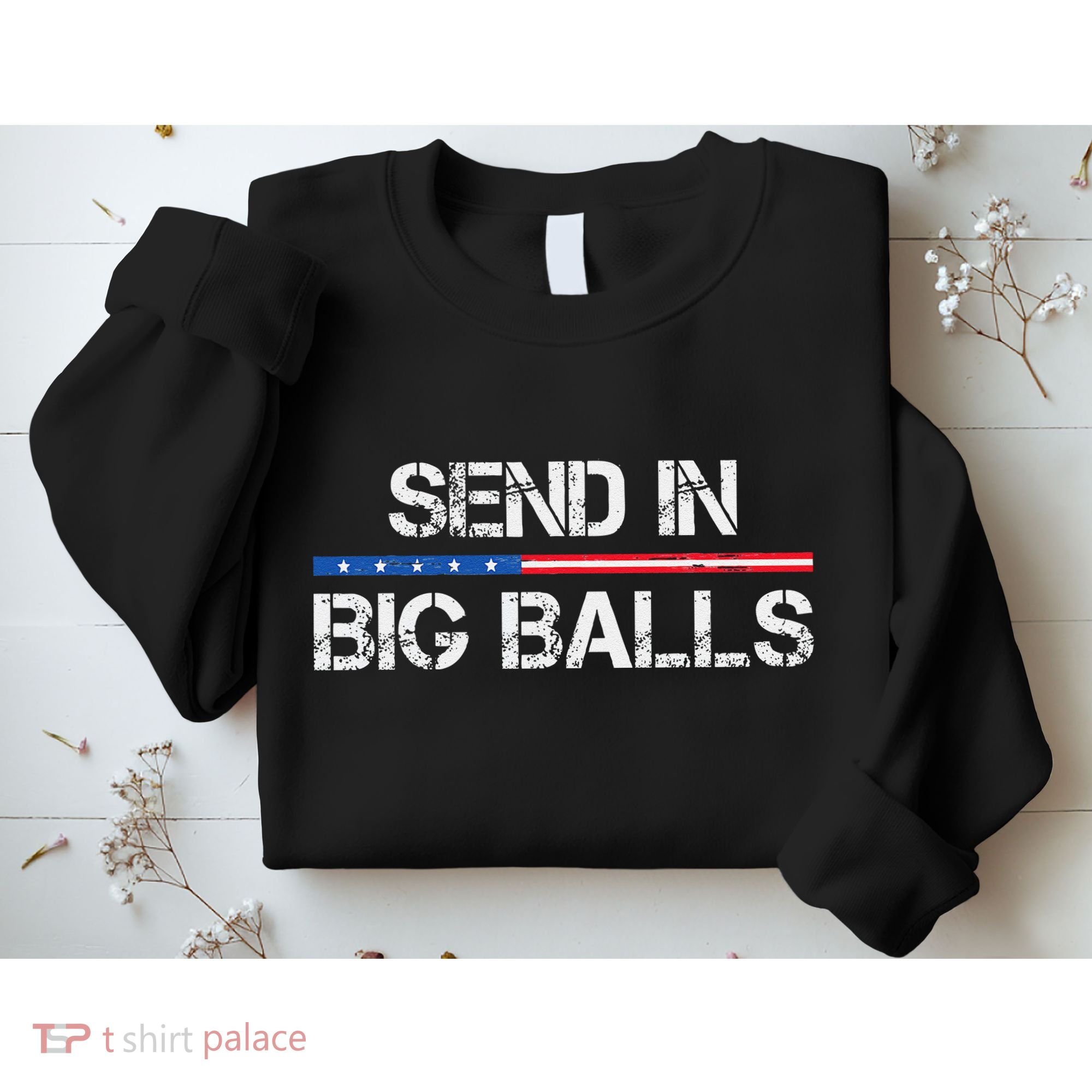 Send In Big Balls Doge D.O.G.E Gift Sweatshirt
