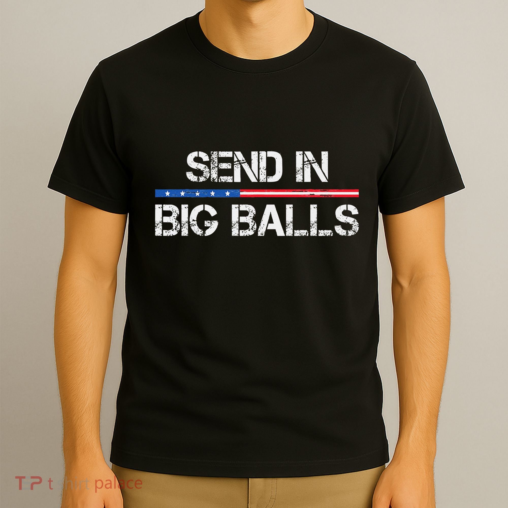 Send In Big Balls Doge D.O.G.E Gift T-Shirt