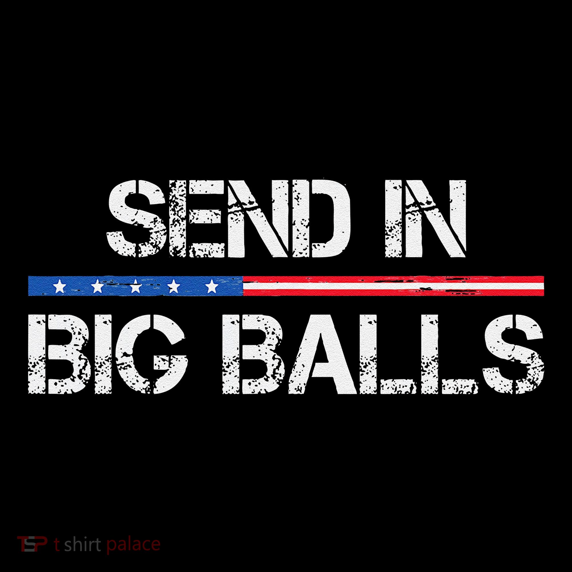 Send In Big Balls Doge D.O.G.E Gift Women's Hoodie