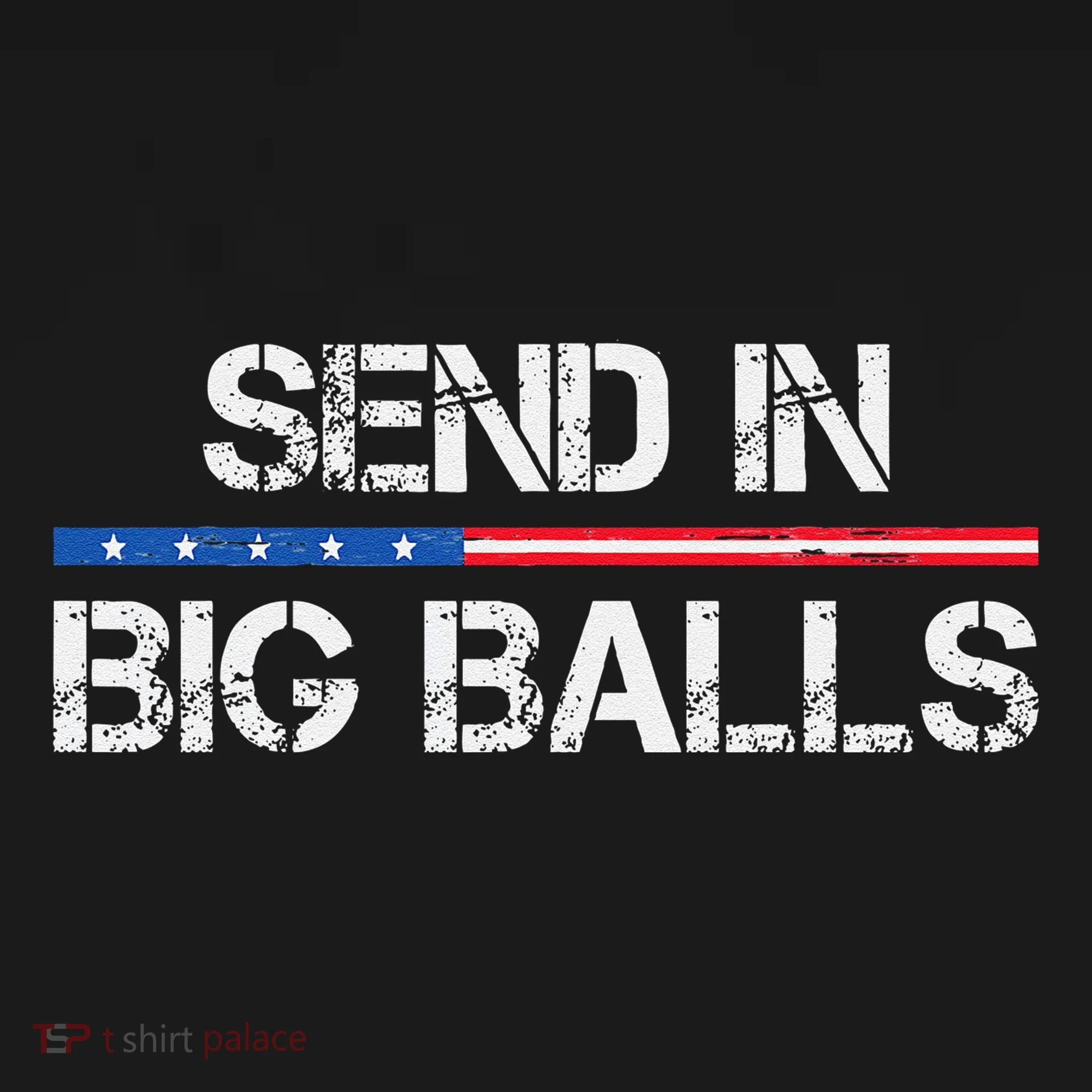 Send In Big Balls Doge D.O.G.E Gift Women's Hoodie