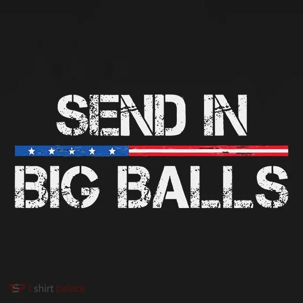 Send In Big Balls Doge D.O.G.E Gift Toddler Hoodie