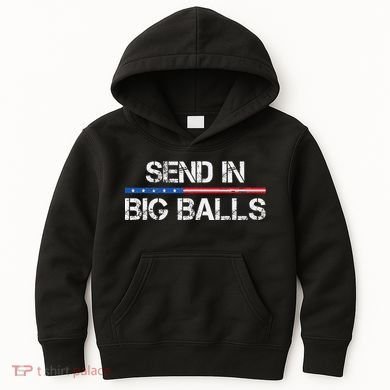 Send In Big Balls Doge D.O.G.E Gift Kids Hoodie