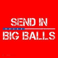Send In Big Balls Doge D.O.G.E Gift Santa Hat thumb 1