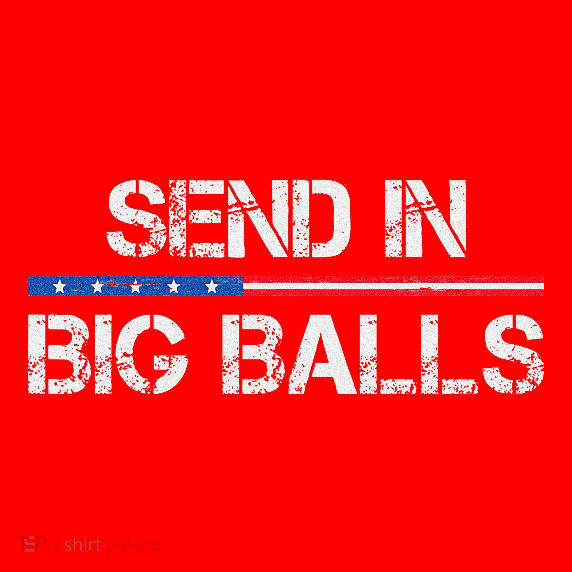 Send In Big Balls Doge D.O.G.E Gift Santa Hat