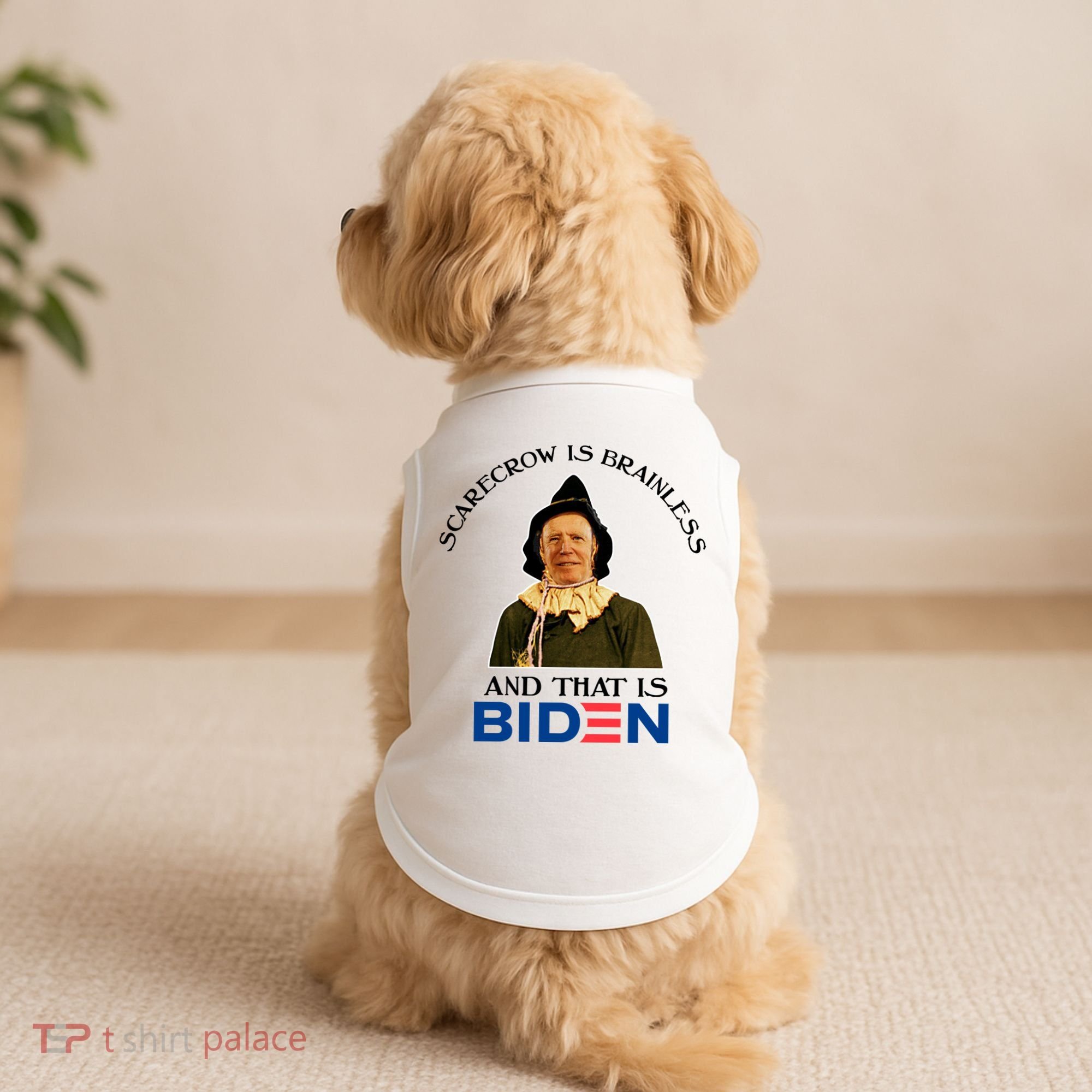 Scarecrow Is Brainless And That Is Biden Doggie Tank