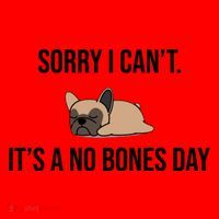 Sorry I Can't Today It's A No Bones Day Cute Pug Santa Hat thumb 1