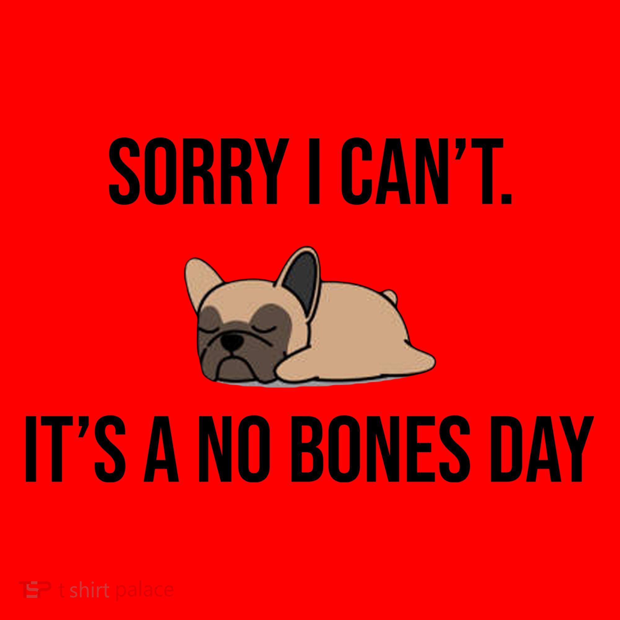 Sorry I Can't Today It's A No Bones Day Cute Pug Santa Hat
