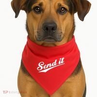 Sent It Classic Logo USA-Made Doggie Bandana thumb 1
