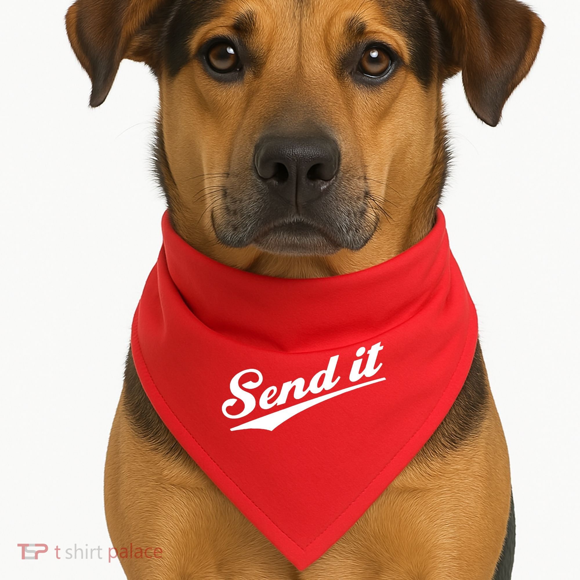 Sent It Classic Logo USA-Made Doggie Bandana
