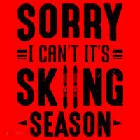 Sory I Cant Its Skiing Season Funny Skiing Gift Santa Hat thumb 1