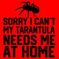 Sorry I CanT My Tarantula Needs Me At Home Santa Hat thumb 1