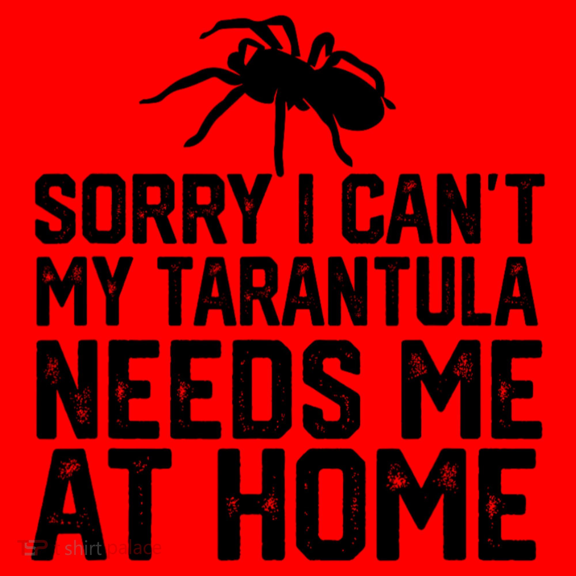 Sorry I CanT My Tarantula Needs Me At Home Santa Hat