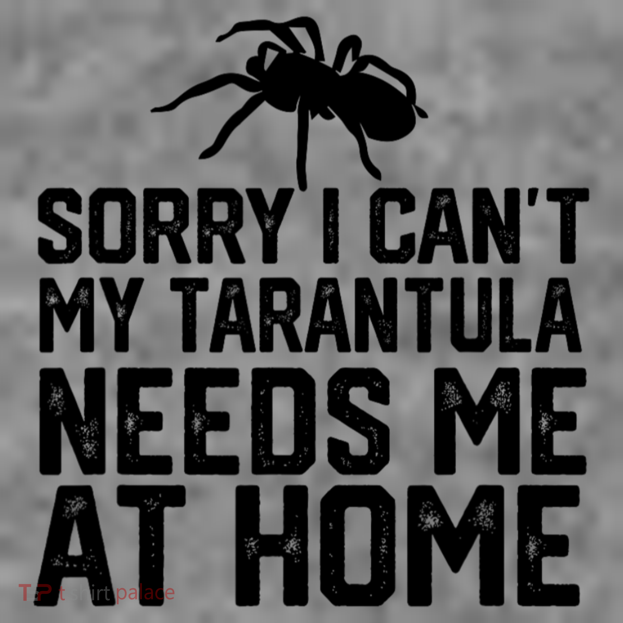 Sorry I CanT My Tarantula Needs Me At Home Kids T-Shirt