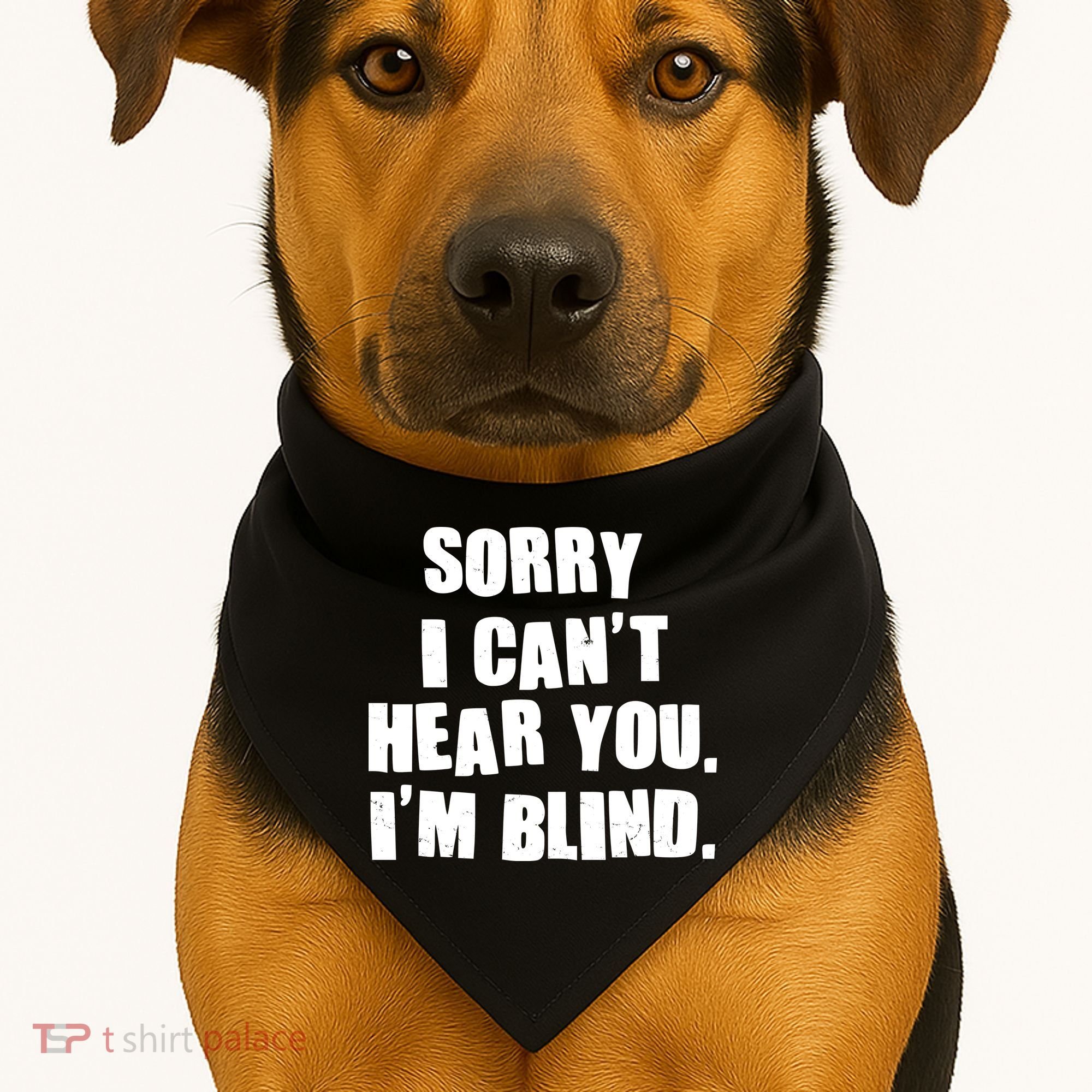 Sorry I Can' Hear You I'm Blind USA-Made Doggie Bandana