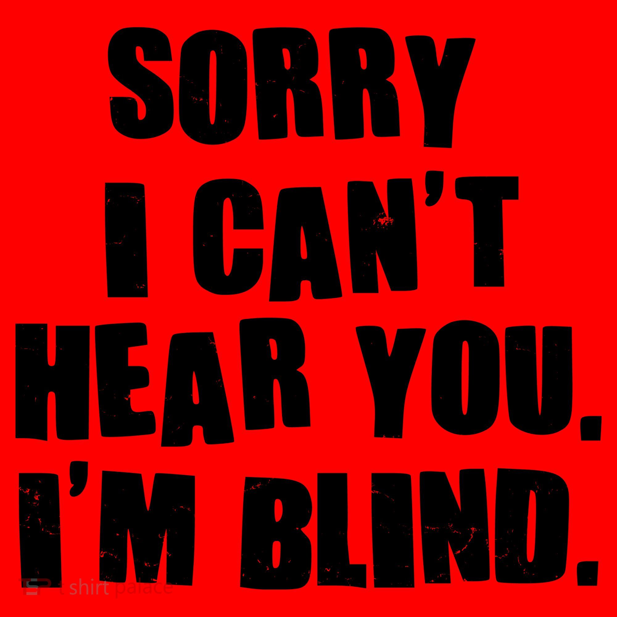 Sorry I Can' Hear You I'm Blind Santa Hat