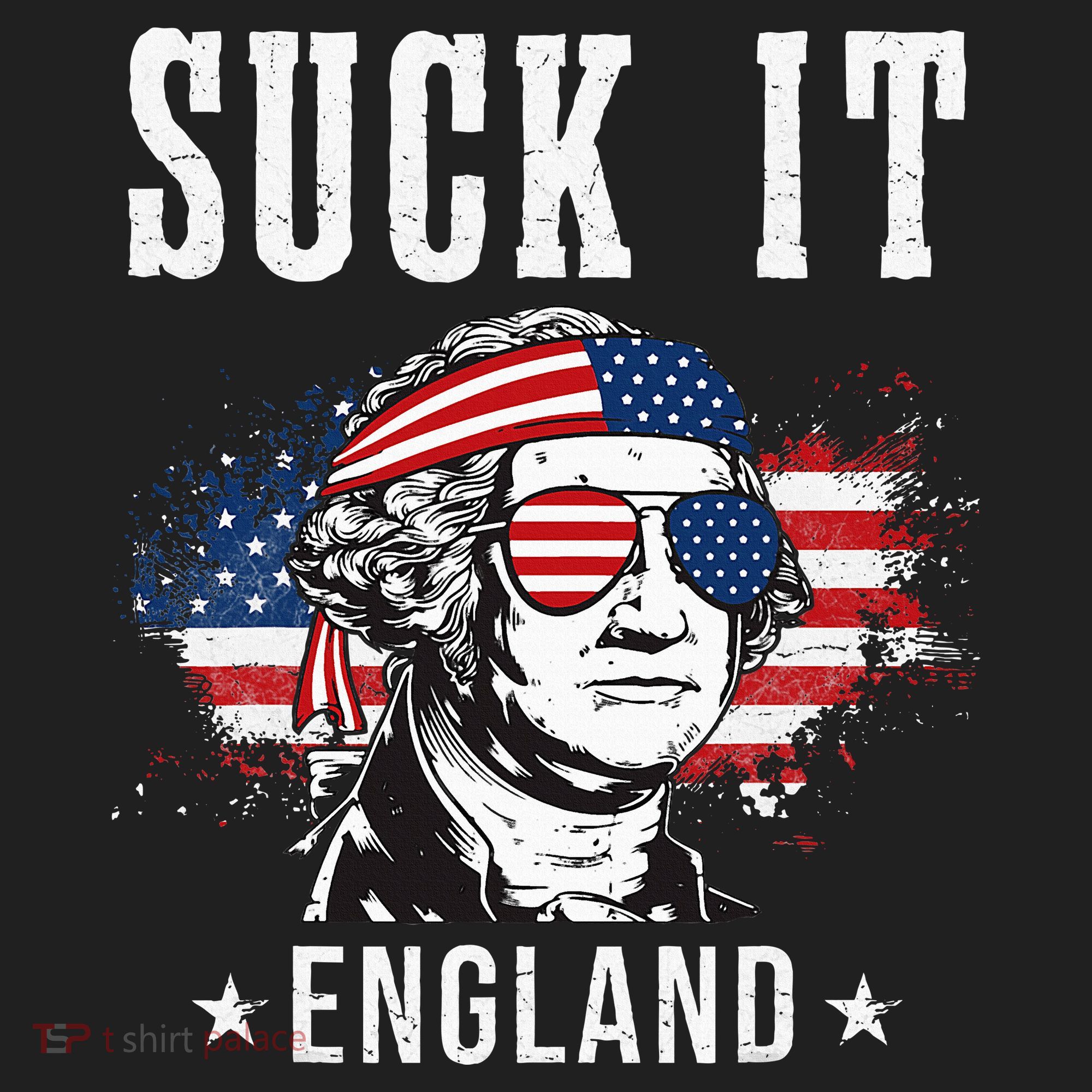 Suck It England Funny George Washington Funny Beanie