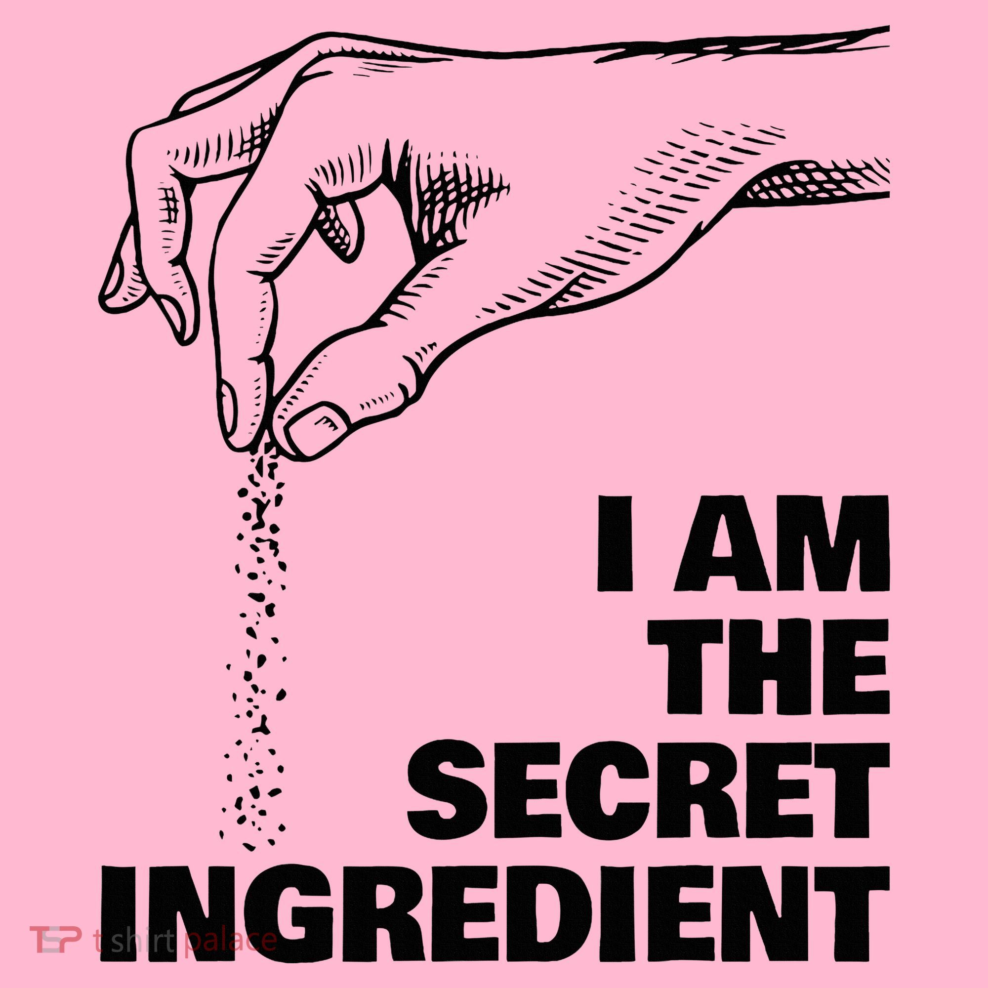 Secret Ingredient Funny Cooking Cook Chef Coaster