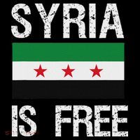 Syria Is Free Syrian Flag Women's Hoodie thumb 2