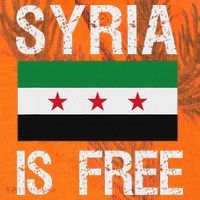 Syria Is Free Syrian Flag Kati Licensed 12" Camo Cuffed Beanie thumb 2