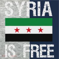 Syria Is Free Syrian Flag Kids Colorblock Raglan Jersey thumb 2