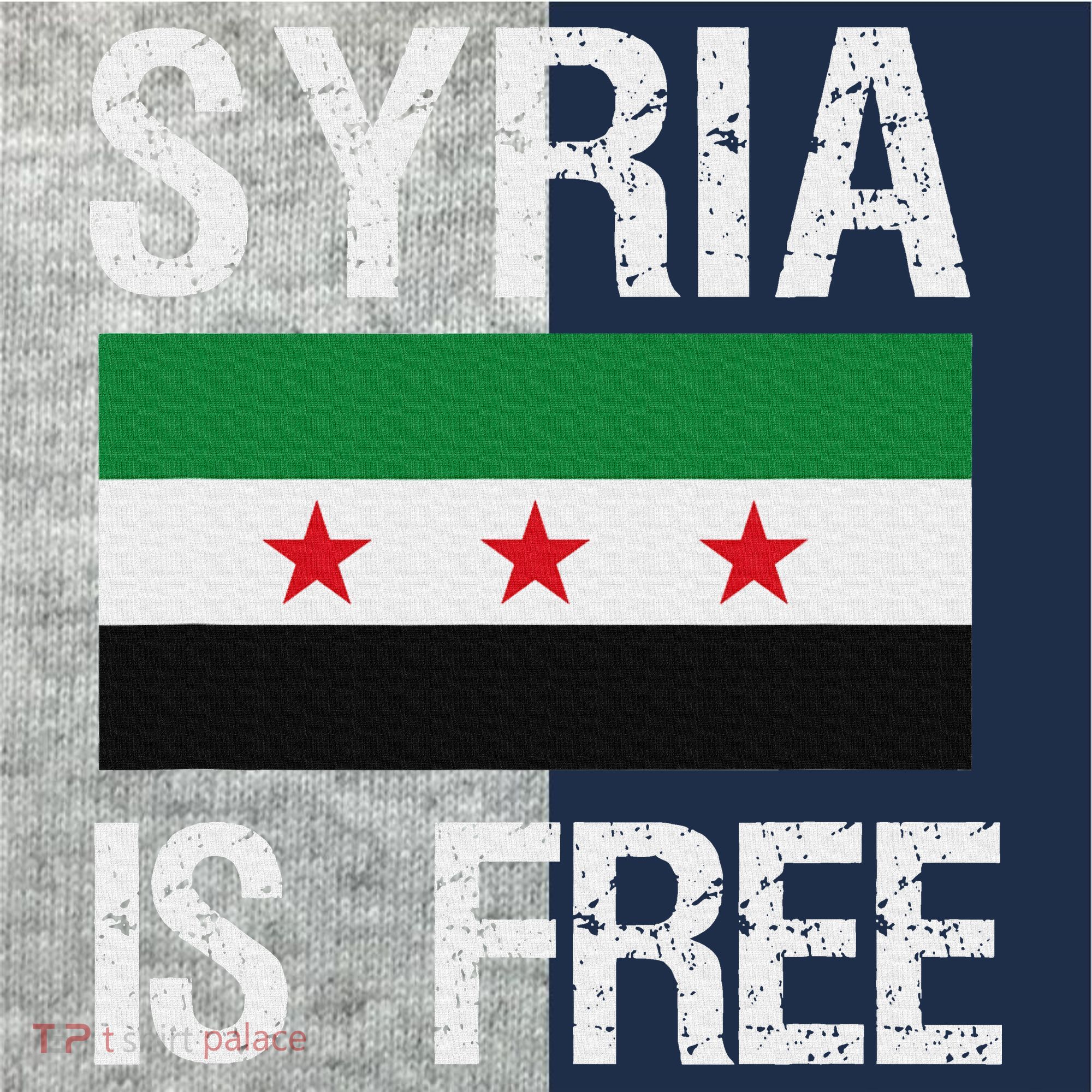 Syria Is Free Syrian Flag Kids Colorblock Raglan Jersey