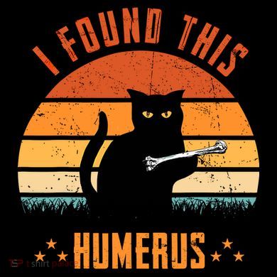 Scary I Found This Humerus Cat Black Humorous Kids Colorblock Raglan Jersey
