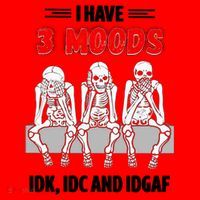 Skeleton I Have 3 Moods IDK IDC And IDGAF Santa Hat thumb 1