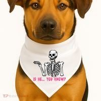 Skeleton Is He You Know Meme USA-Made Doggie Bandana thumb 1