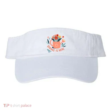 Visor