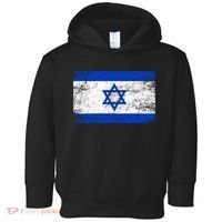 Support Israel I Stand With Israel Israeli Flag Toddler Hoodie thumb 0