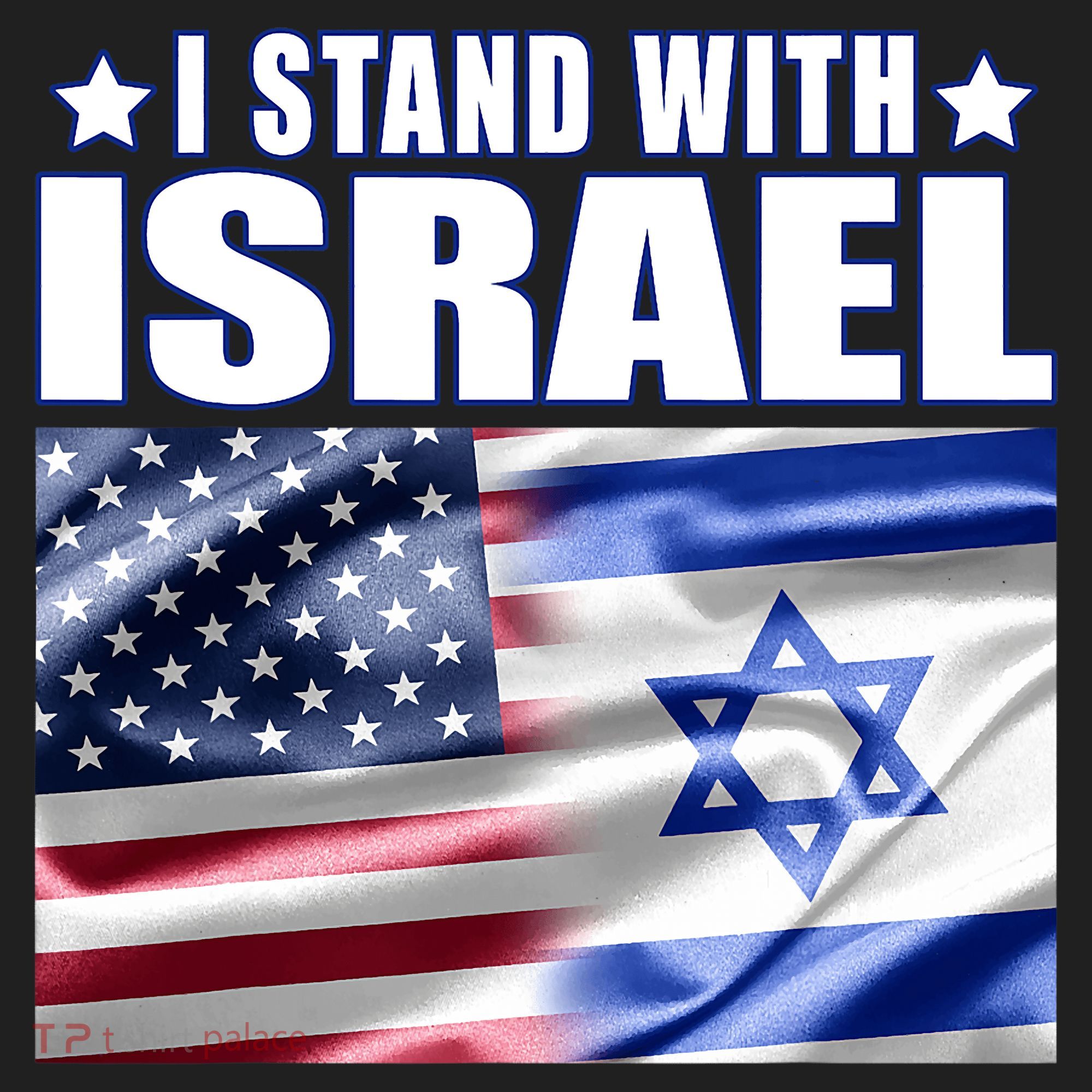 Support Israel I Stand With Israel Tumbler