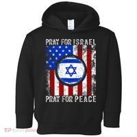 Support Israel I Stand With Israel Pray For Israel Flag Toddler Hoodie thumb 0
